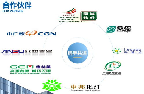 瑞利環保 一站式破碎清洗甩干設備與環保咨詢服務，打造綠色循環整體解決方案